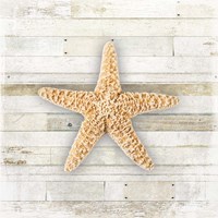 Gypsy Sea Coastal 2 Fine Art Print