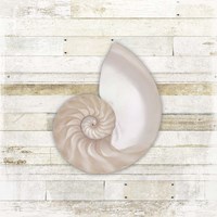 Gypsy Sea Coastal 3 Fine Art Print