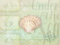 Gypsy Sea Green 1 Framed Print