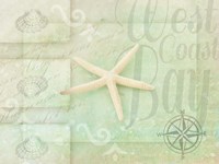 Gypsy Sea Green 3 Fine Art Print