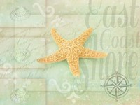 Gypsy Sea Green 4 Fine Art Print