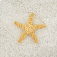 Gypsy Sea Life 2 Framed Print