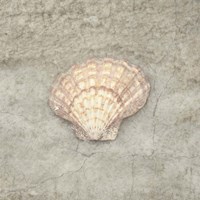 Gypsy Sea Life V3 Fine Art Print