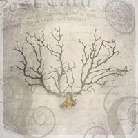 Gypsy Sea Love Letter 2 Fine Art Print