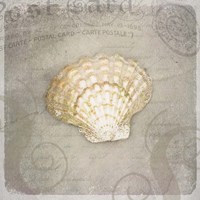 Gypsy Sea Love Letter Framed Print