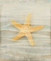 Gypsy Star 1 Fine Art Print