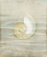 Gypsy Star 2 Framed Print