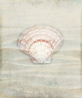 Gypsy Star 4 Framed Print