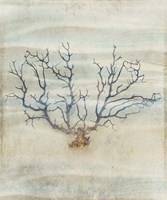 Gypsy Star 5 Fine Art Print