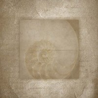 Sea Life 2 Fine Art Print