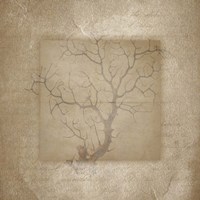 Sea Life 3 Framed Print