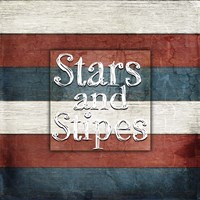 American Freedom Collection 7 Framed Print