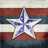 American Freedom Collection V1 Fine Art Print