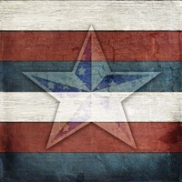 American Freedom Collection V4 Framed Print