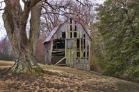 Barn Shell Fine Art Print