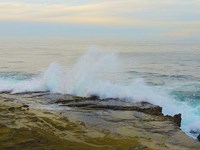 La Jolla Beach Fine Art Print
