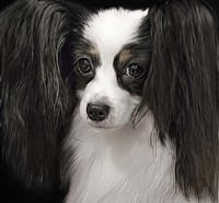 Papillion Fine Art Print