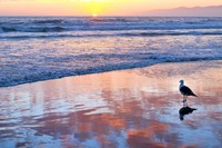 Venice Beach Sunset Fine Art Print