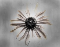 Sun 1 Copy Fine Art Print