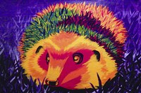 Colorful Hedgehog Fine Art Print