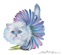 Kitten Ballerina Daisy Flower Stare Persian Cat Fine Art Print