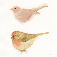 Watercolor Birds II Sq Fine Art Print