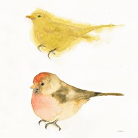 Watercolor Birds I Sq Framed Print