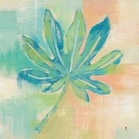 Beach Cove Leaves IV Framed Print