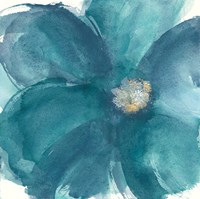 Bloom Beauty I Fine Art Print