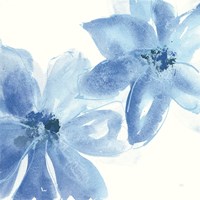 Cobalt Clematis II Fine Art Print