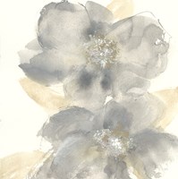 Floral Gray II Fine Art Print