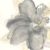 Floral Gray I Fine Art Print