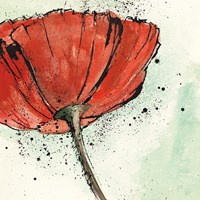 Not a California Poppy I Fine Art Print