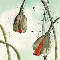 Not a California Poppy II Fine Art Print