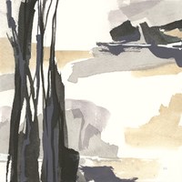 Placid III Fine Art Print