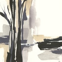 Placid I Fine Art Print