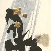 Collage IX Fine Art Print