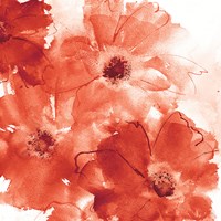 Seashell Cosmos II Red and Orange Fine Art Print