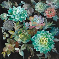 Floral Succulents Fine Art Print