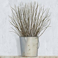 Early Spring Fine Art Print