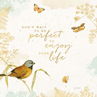 Natures Wisdom V Framed Print