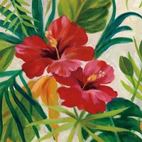 Tropical Jewels II v2 Crop Fine Art Print