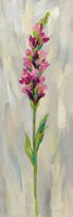 Single Stem Flower IV Fine Art Print