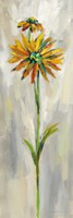 Single Stem Flower III Fine Art Print