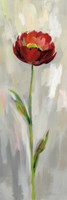 Single Stem Flower II Framed Print