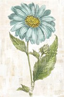 Bloemen Boek VI Fine Art Print