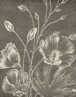 Botanical Beauty Chalk IX Crop Fine Art Print