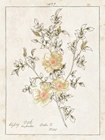 Flowers on White II with Words Fine Art Print