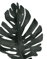 Tropical Palm I BW Fine Art Print