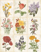 Flowers of the Month 9 Patch Fine Art Print